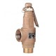 COVNA DN50 2 inch NPT / BSPT Thread Brass Bronze Safety Relief Valve with Lever